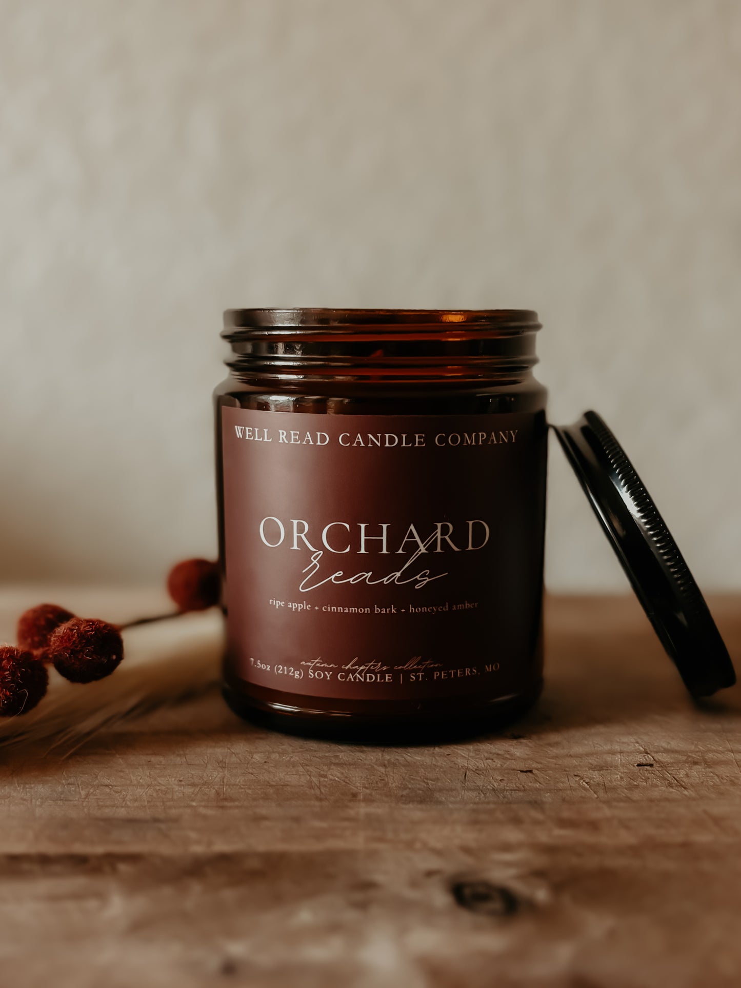 apple cinnamon bookish candle soy gift