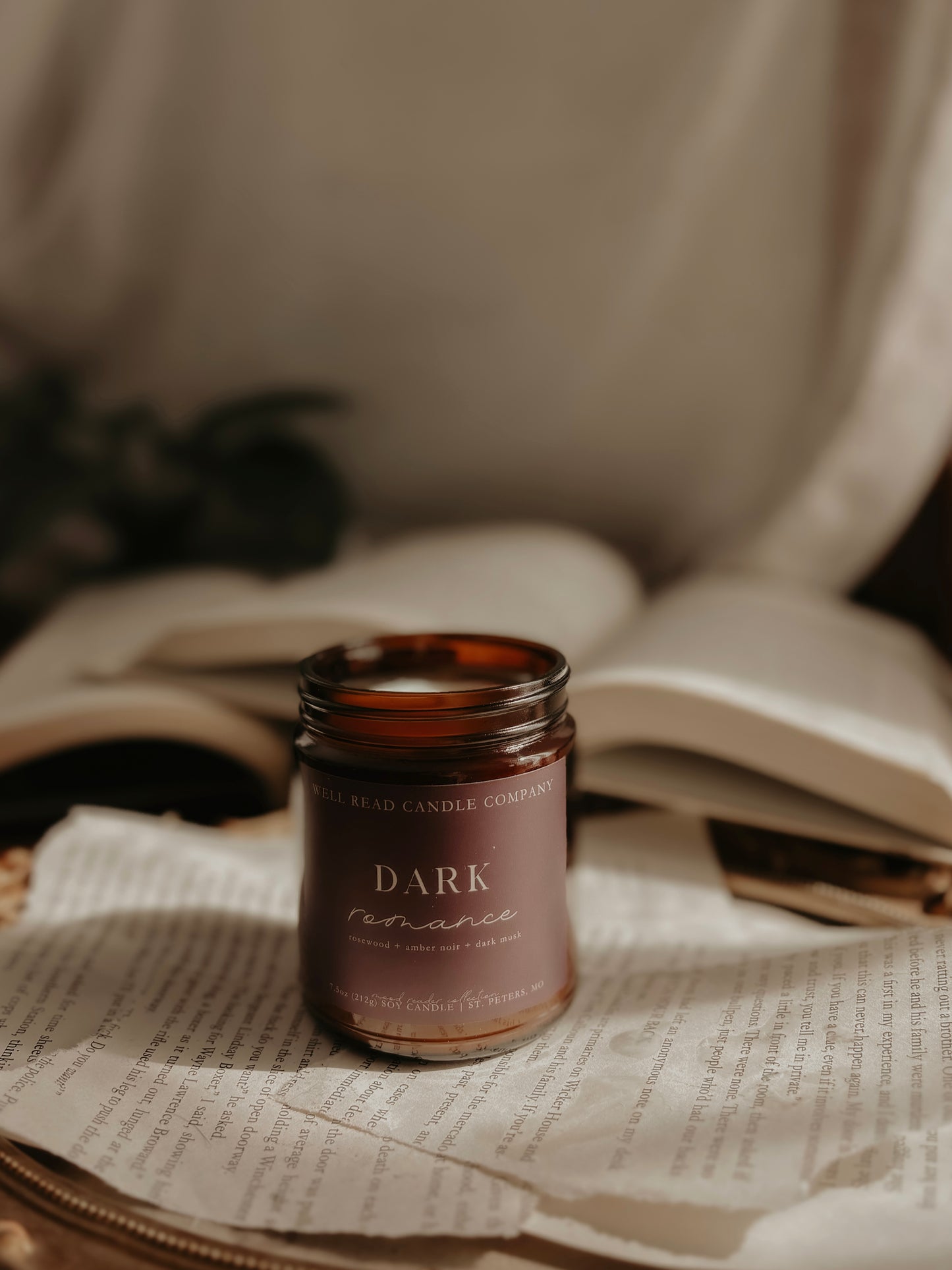 dark romance candle reader gift