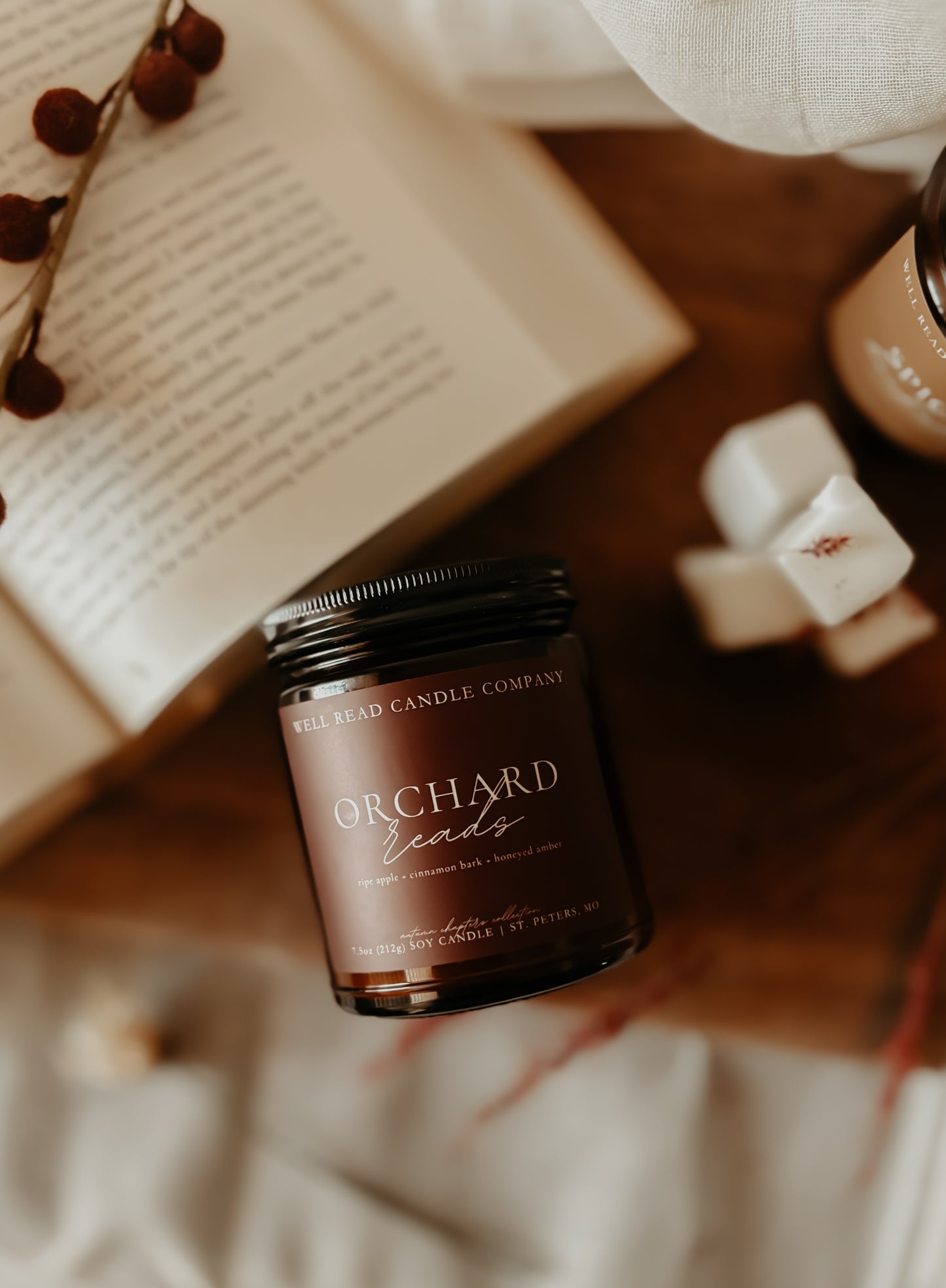 bookish apple cinnamon candle