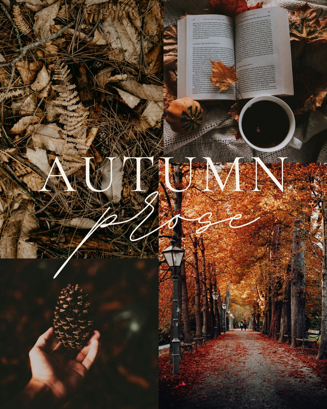 leaves pine cone fall autumn collection