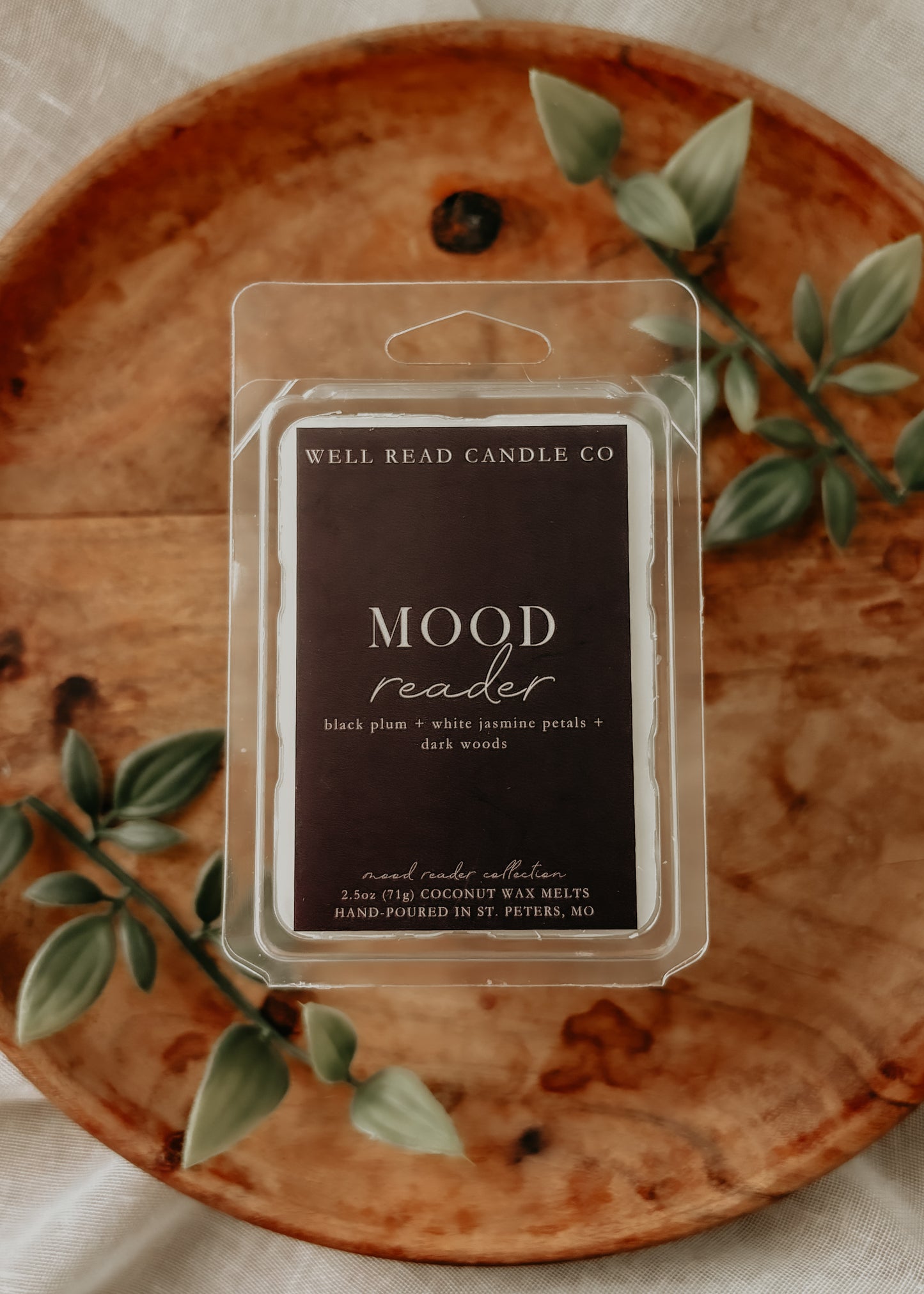 bookish wax melts gift