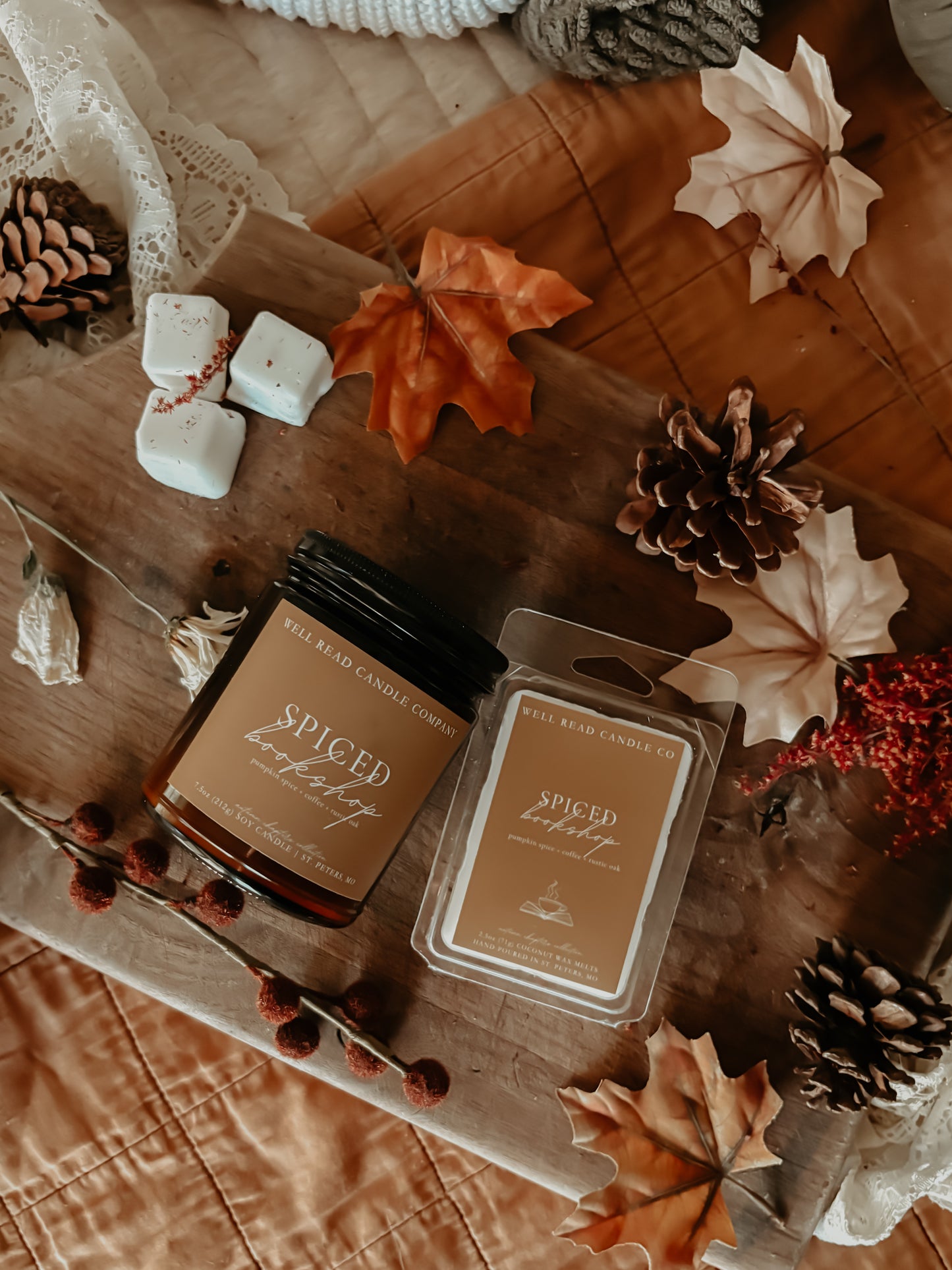 bookstore candle wax melts spiced bookshop
