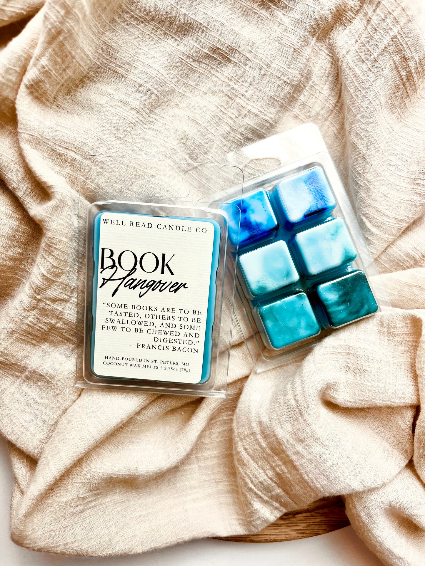 Book Hangover Bookish Wax Melts