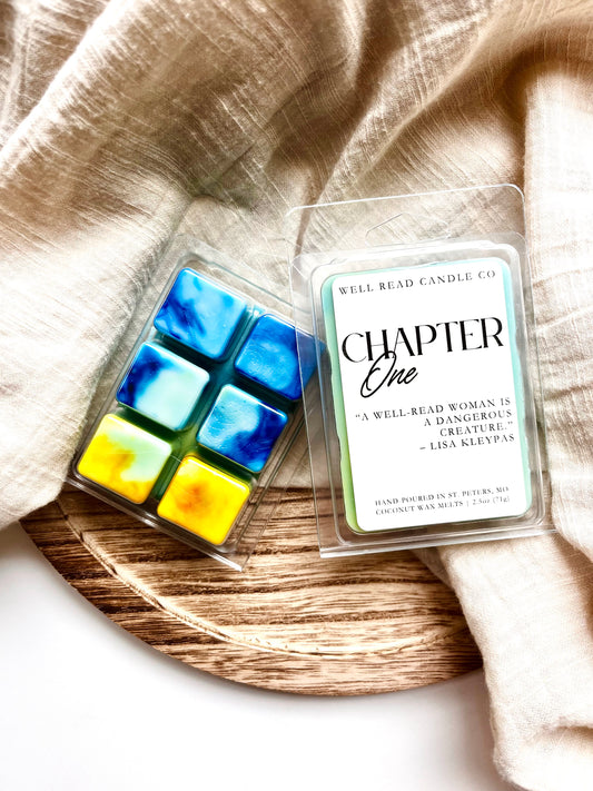 Chapter One Bookish Wax Melts Sunny Library