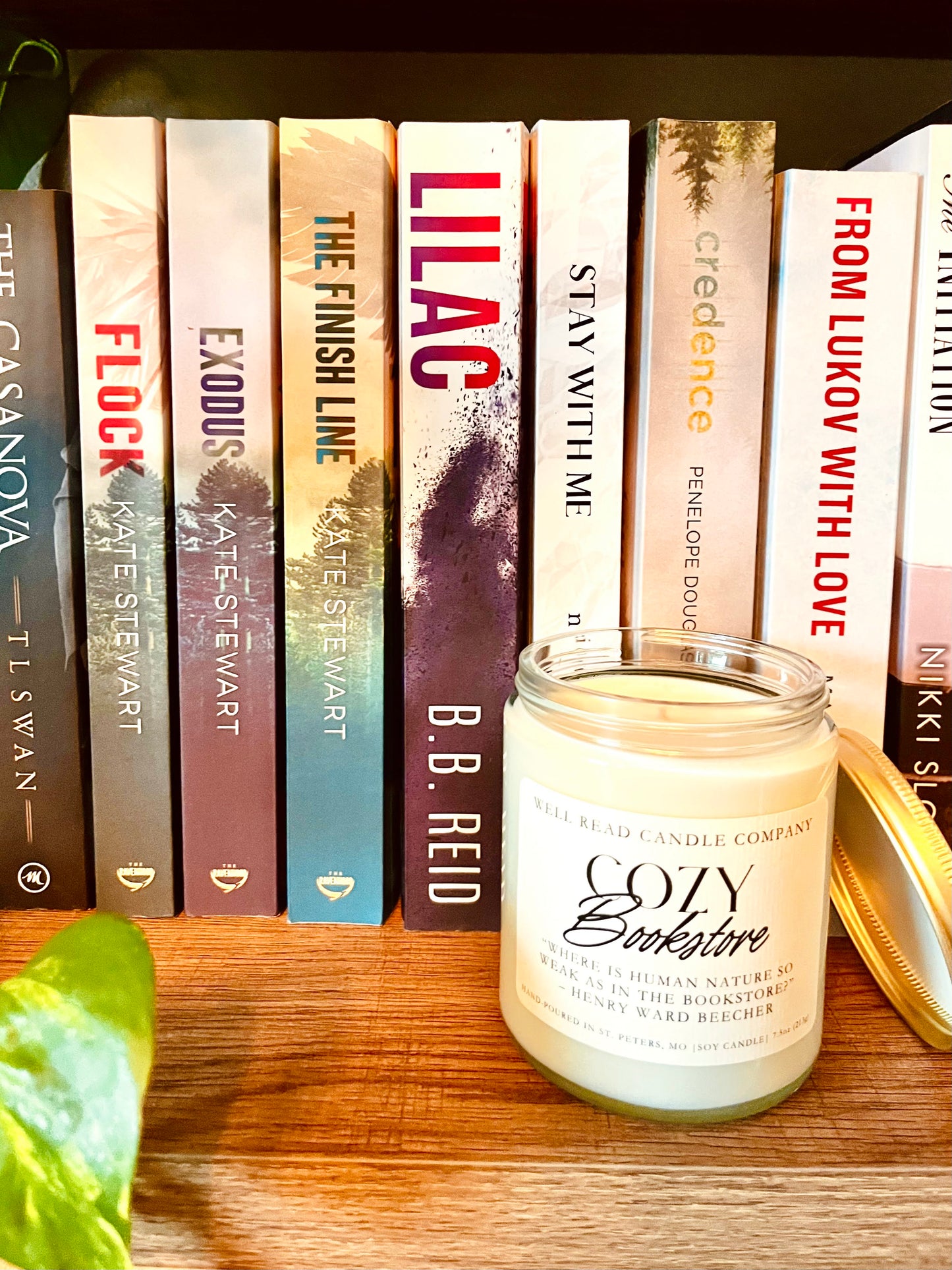 Cozy Bookstore soy candle bookshelf