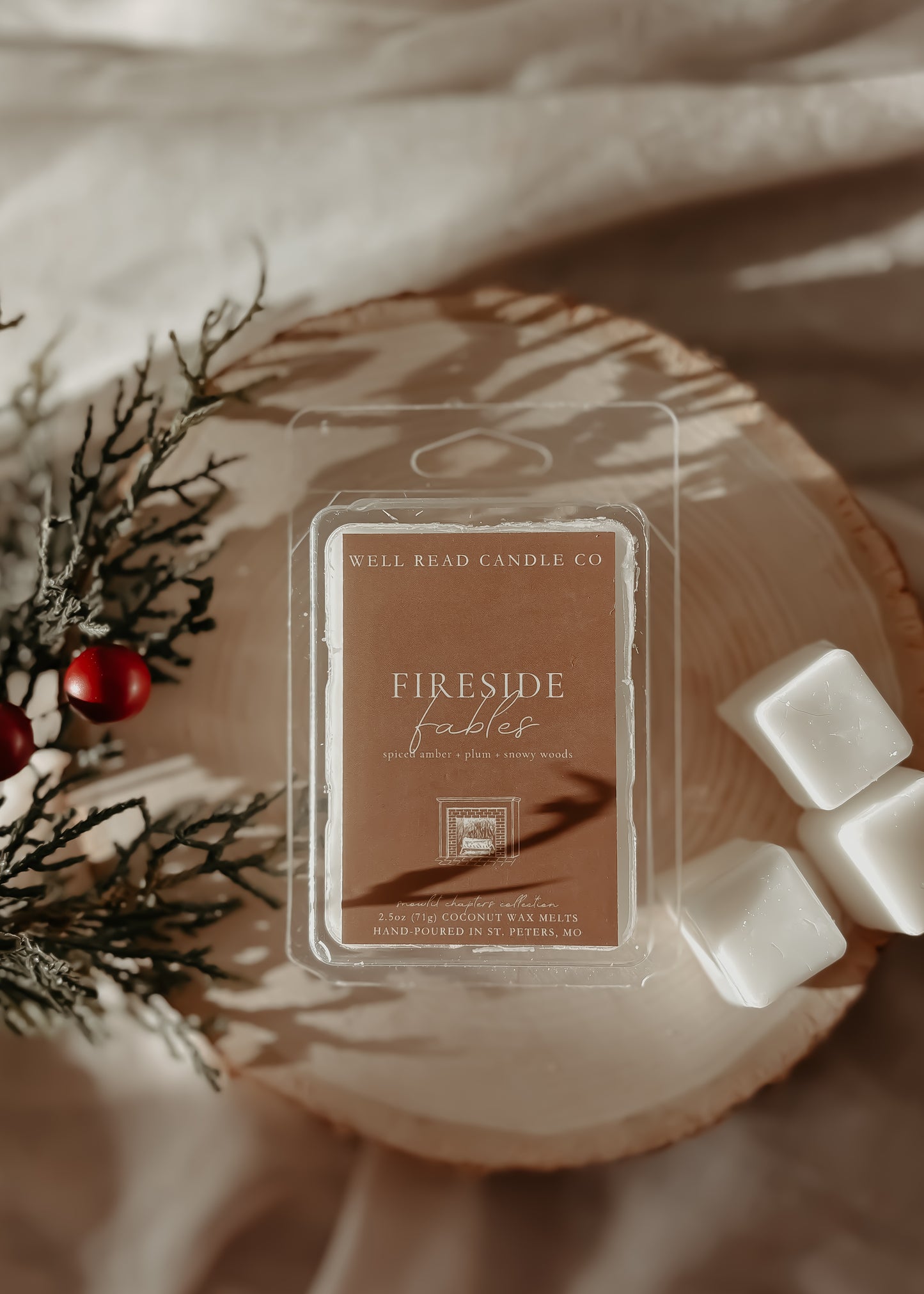 bookish wax melts gifts spiced amber