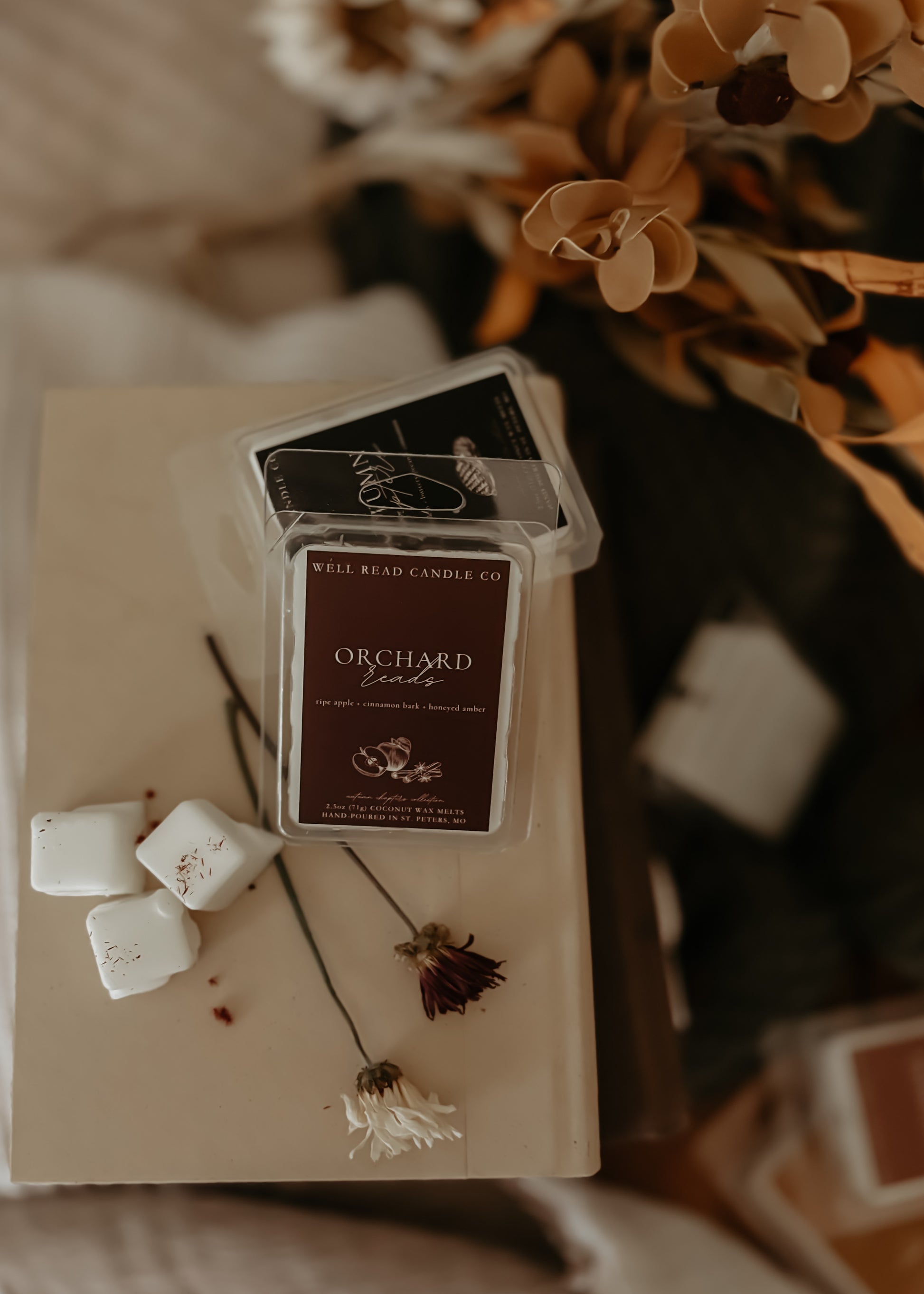 bookish wax melts gift idea apple cinnamon