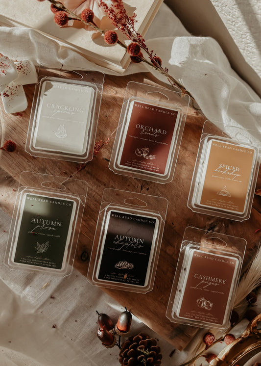 bookish gift book lover gift idea fall wax melts