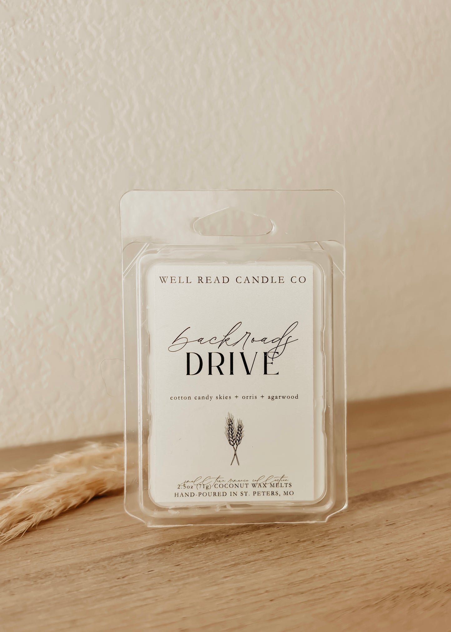 bookish wax melt book cotton candy 