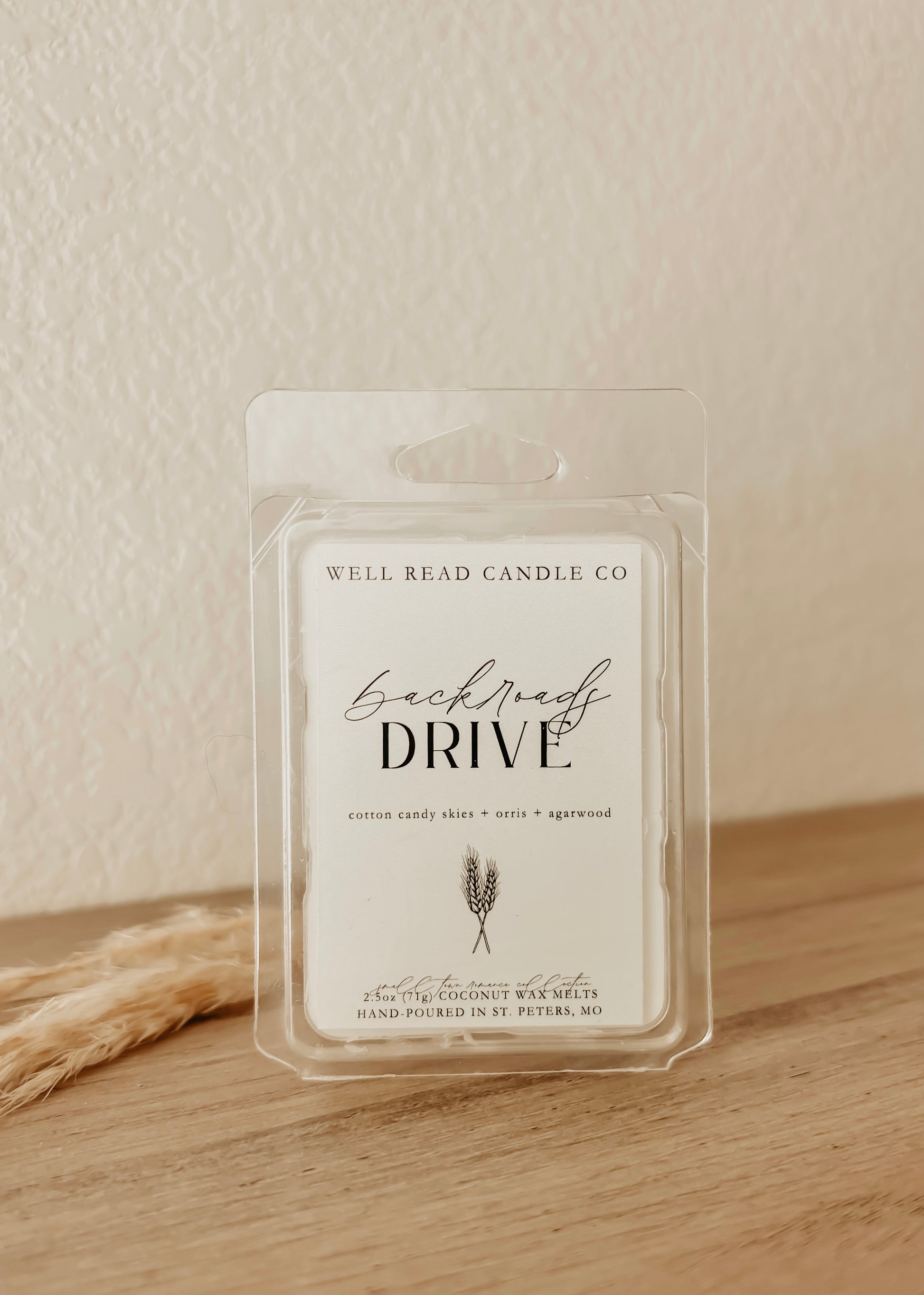 bookish wax melt book cotton candy 