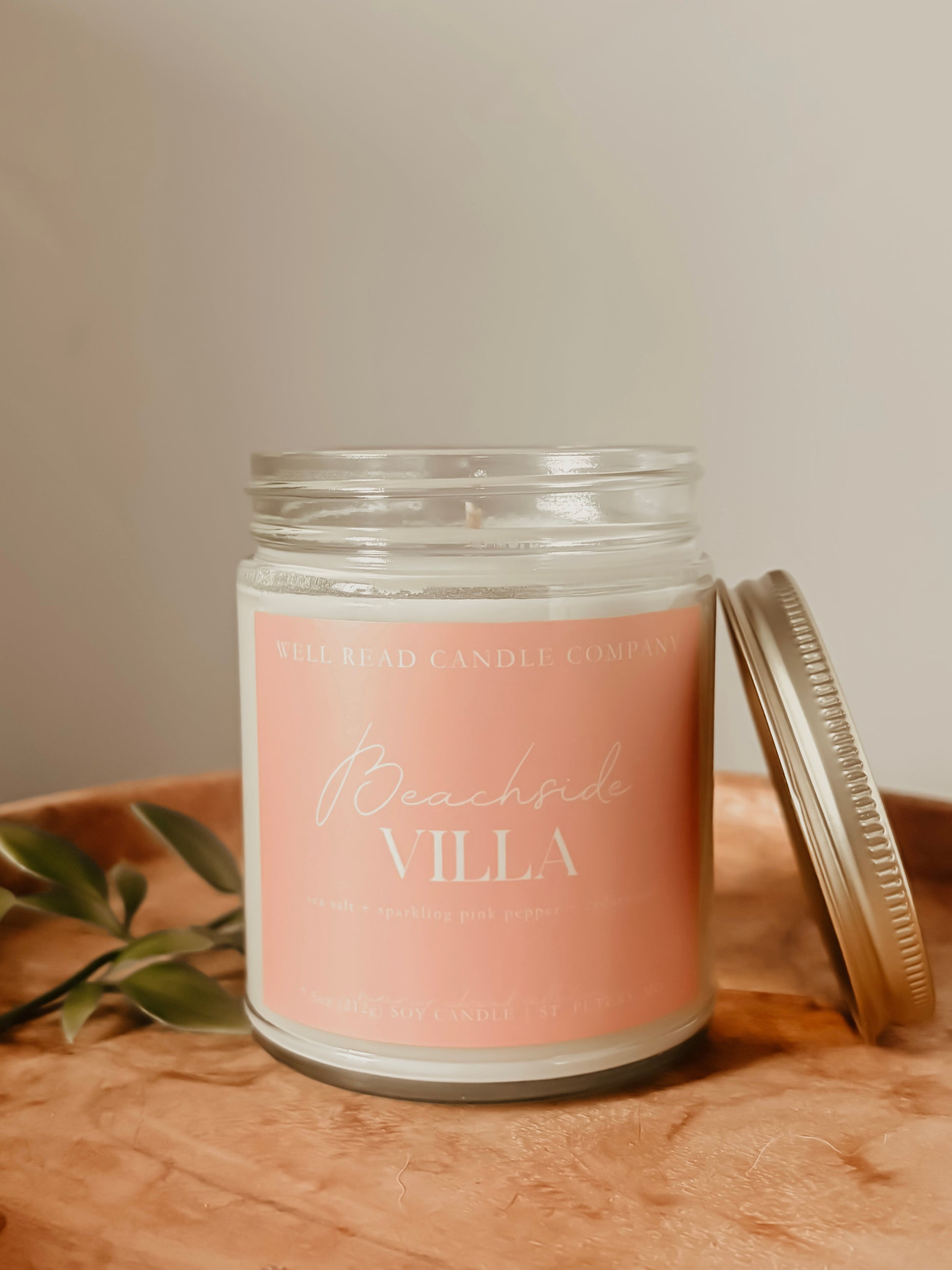 salted muse summer booklover reader gift