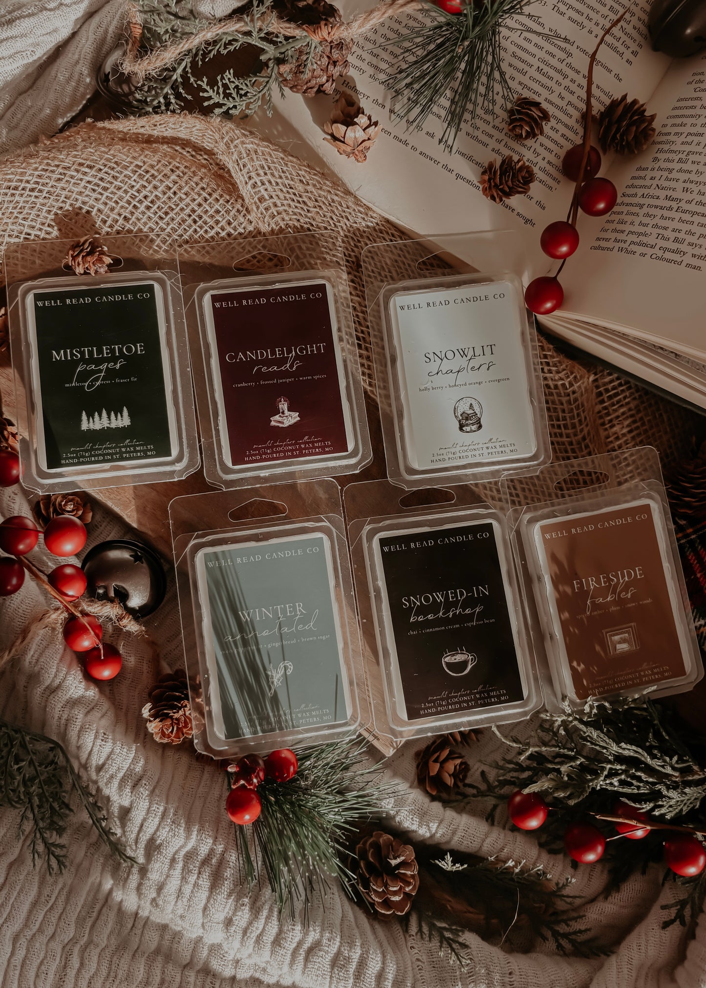 wax melt melts set bookish gift idea winter scents