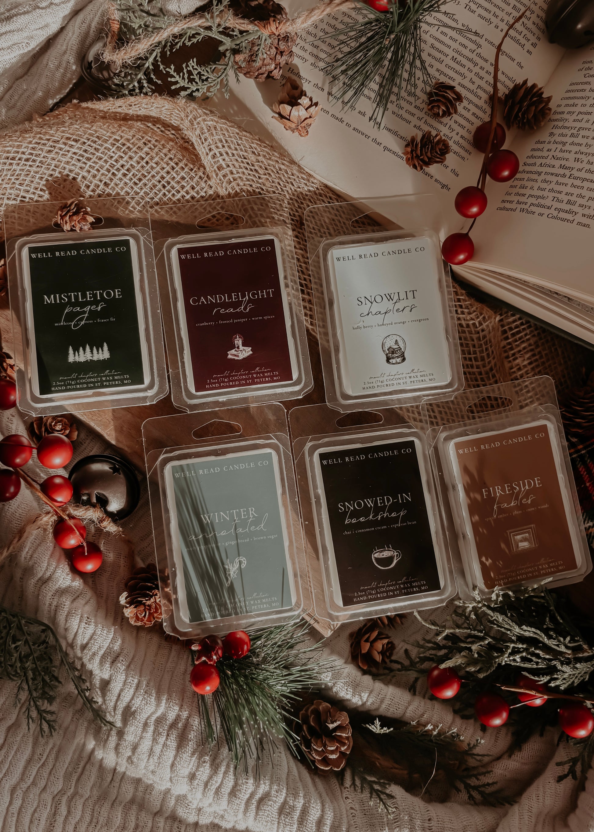 wax melt melts set bookish gift idea winter scents