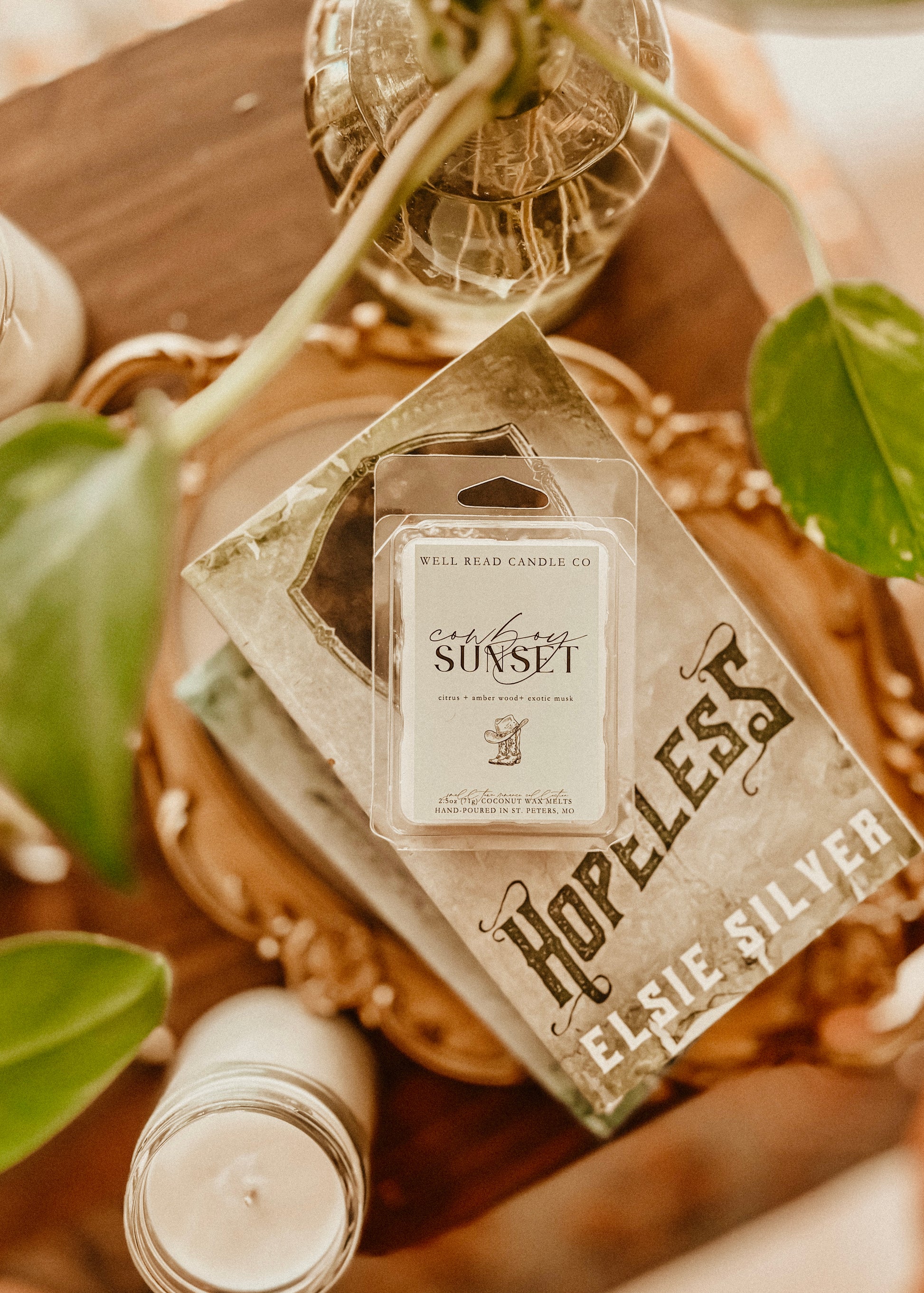 bookish wax melts coconut wax