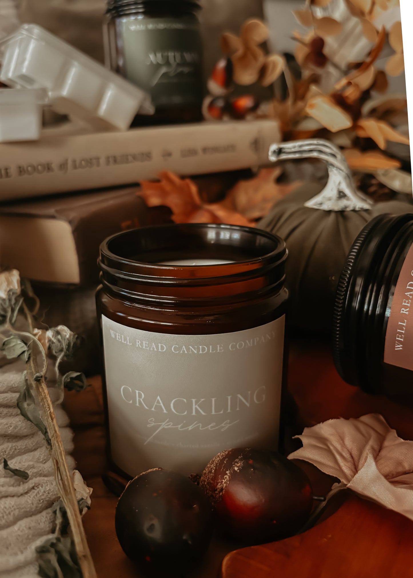 fall masculine bookish candle soy