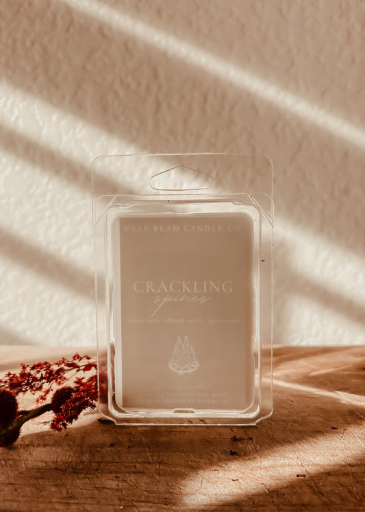 bonfire autumn fall bookish wax melts