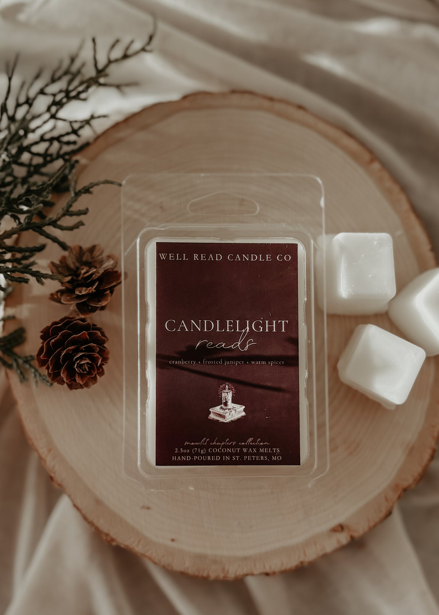 candlelight reads bookish wax melts
