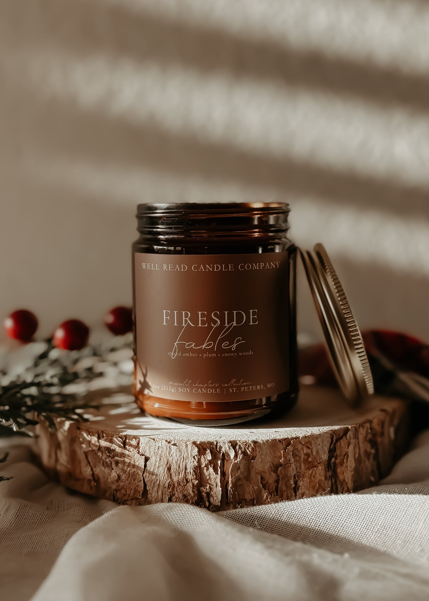 bookish soy candle spiced amber plum gift