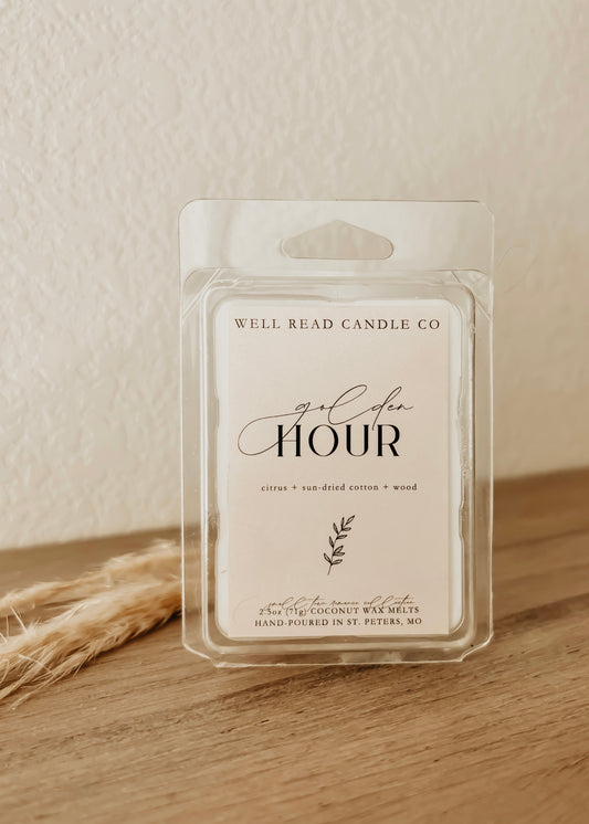 small town romance bookish wax melts