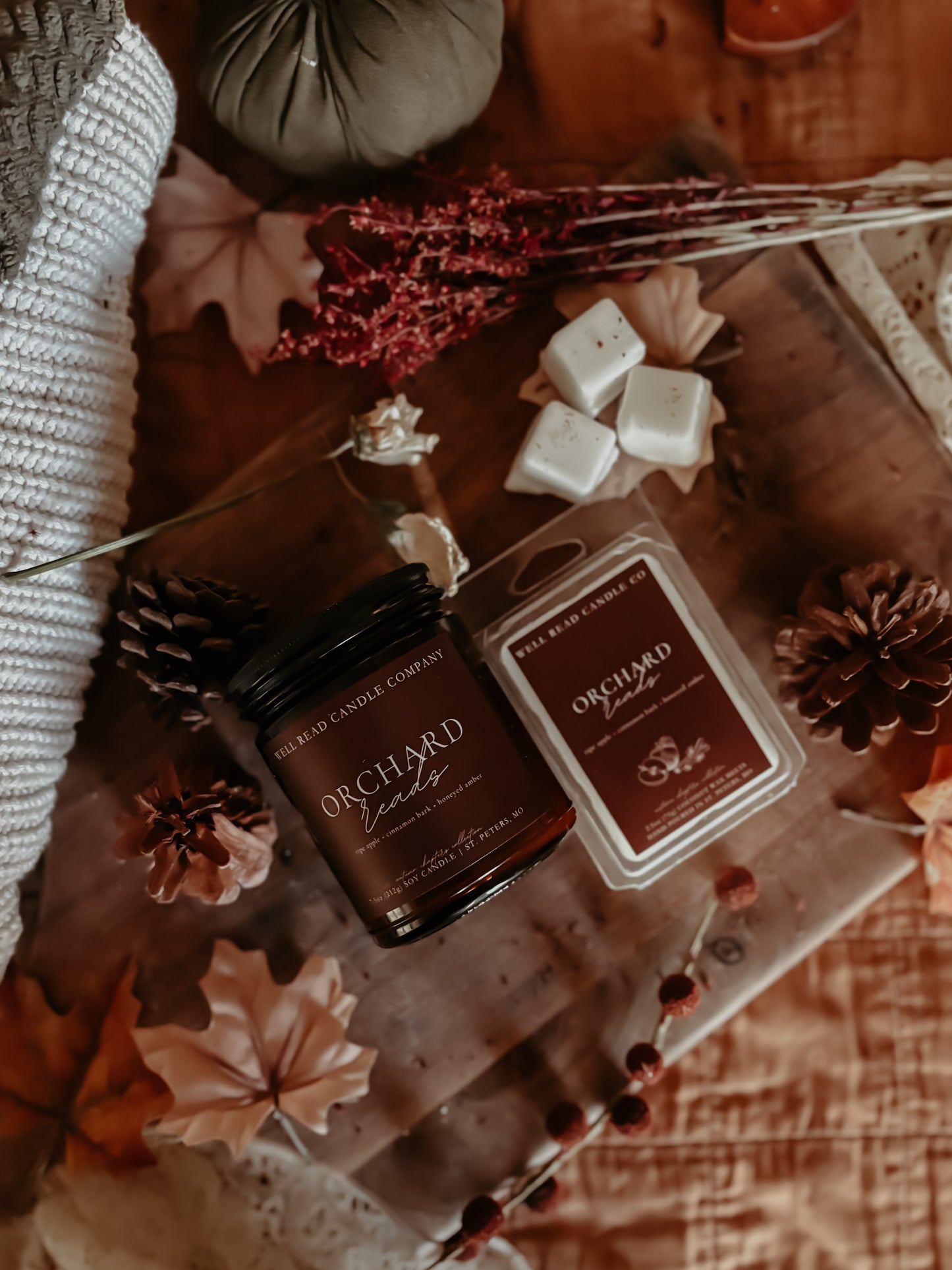 bookish wax melts apple cinnamon honey