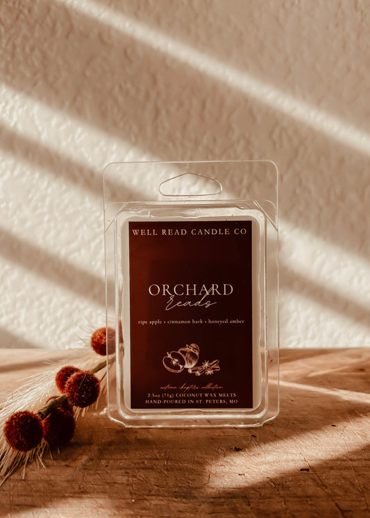 apple cinnamon wax melts