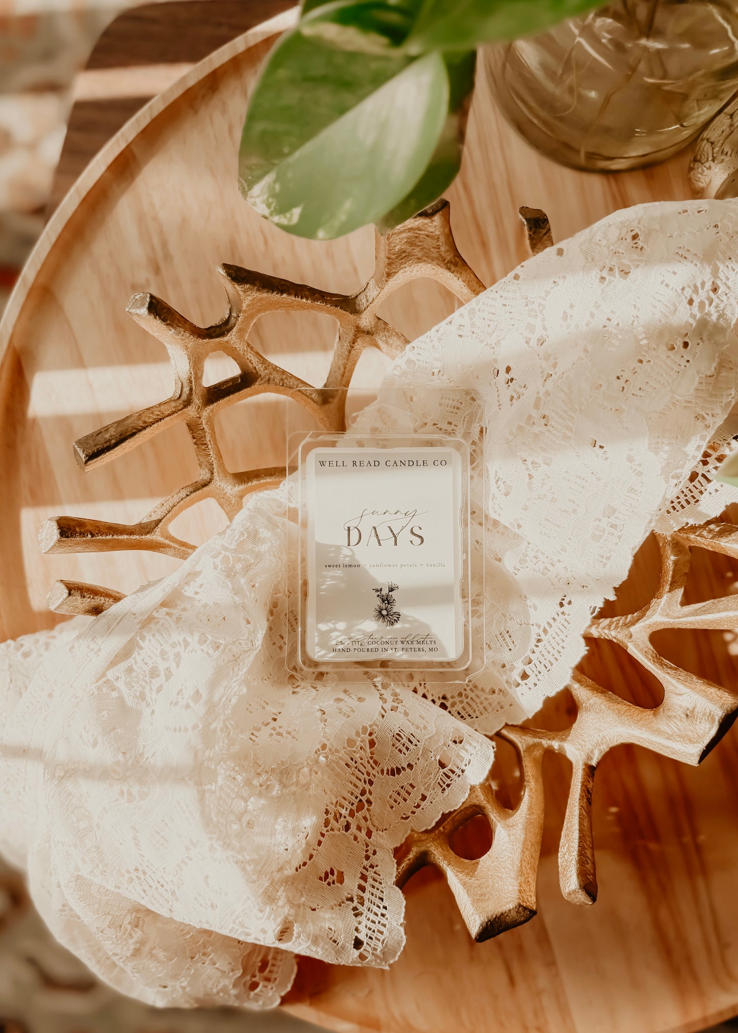 book bookish wax melts