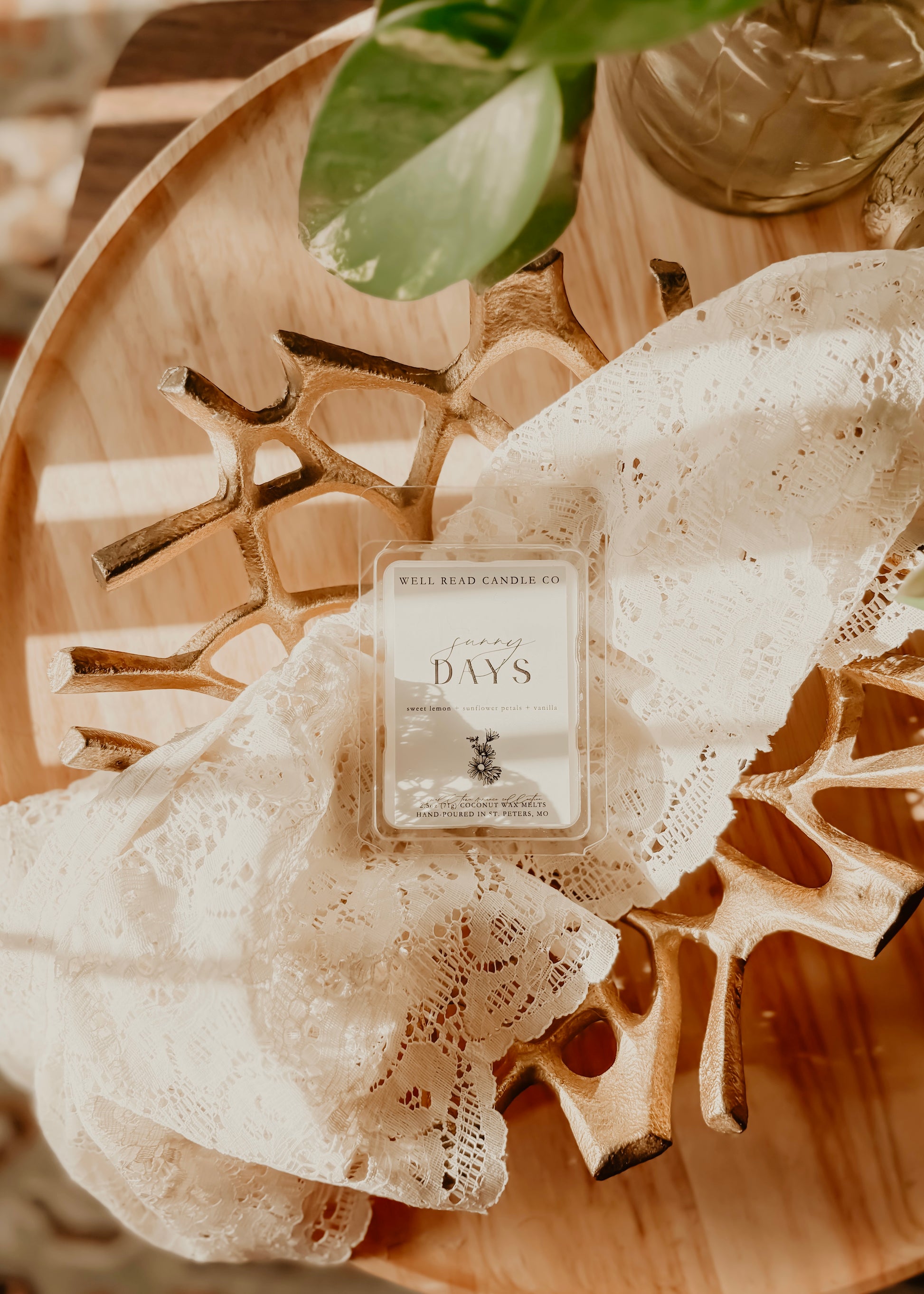 book bookish wax melts