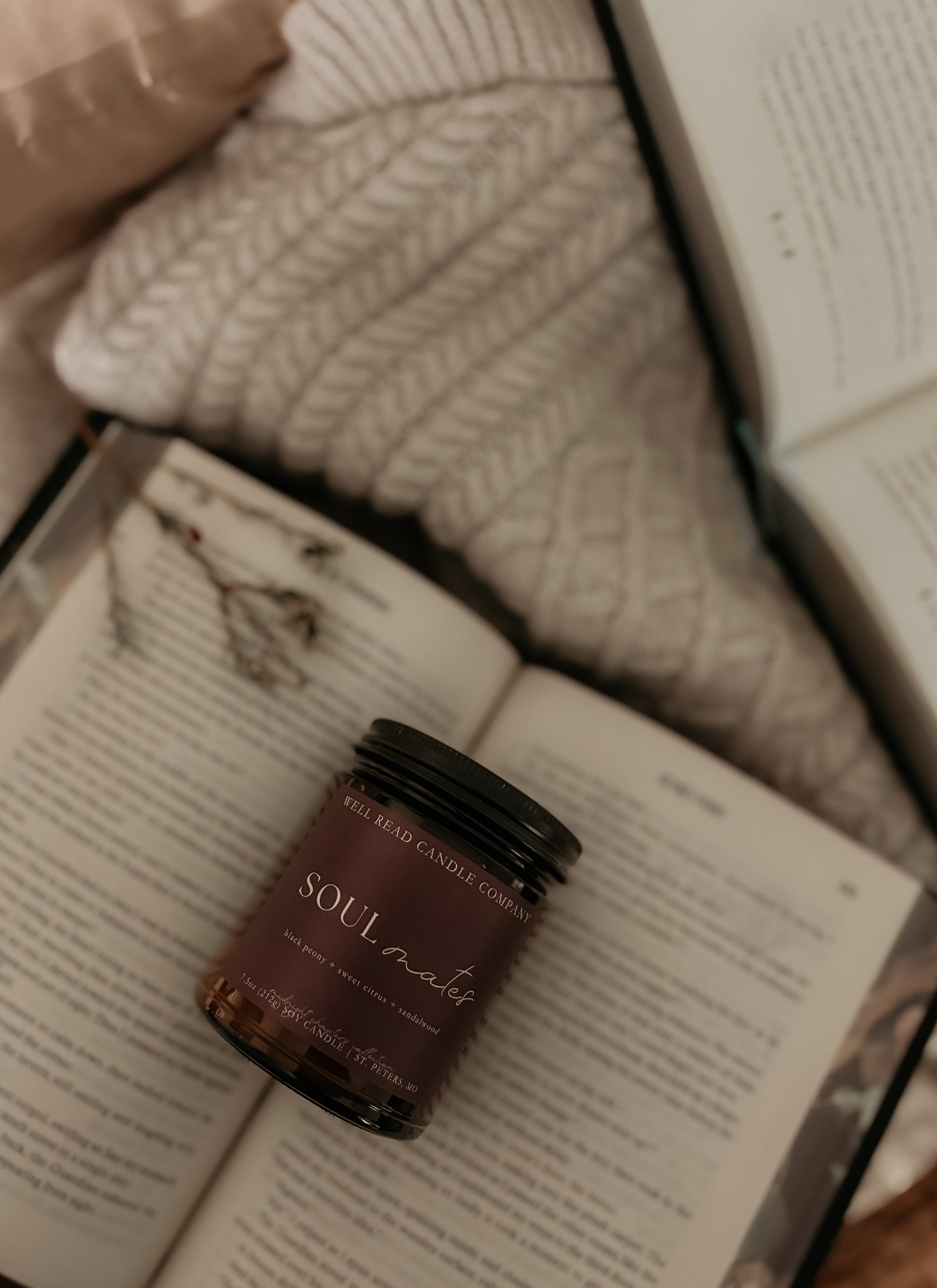 valentines day gift for readers