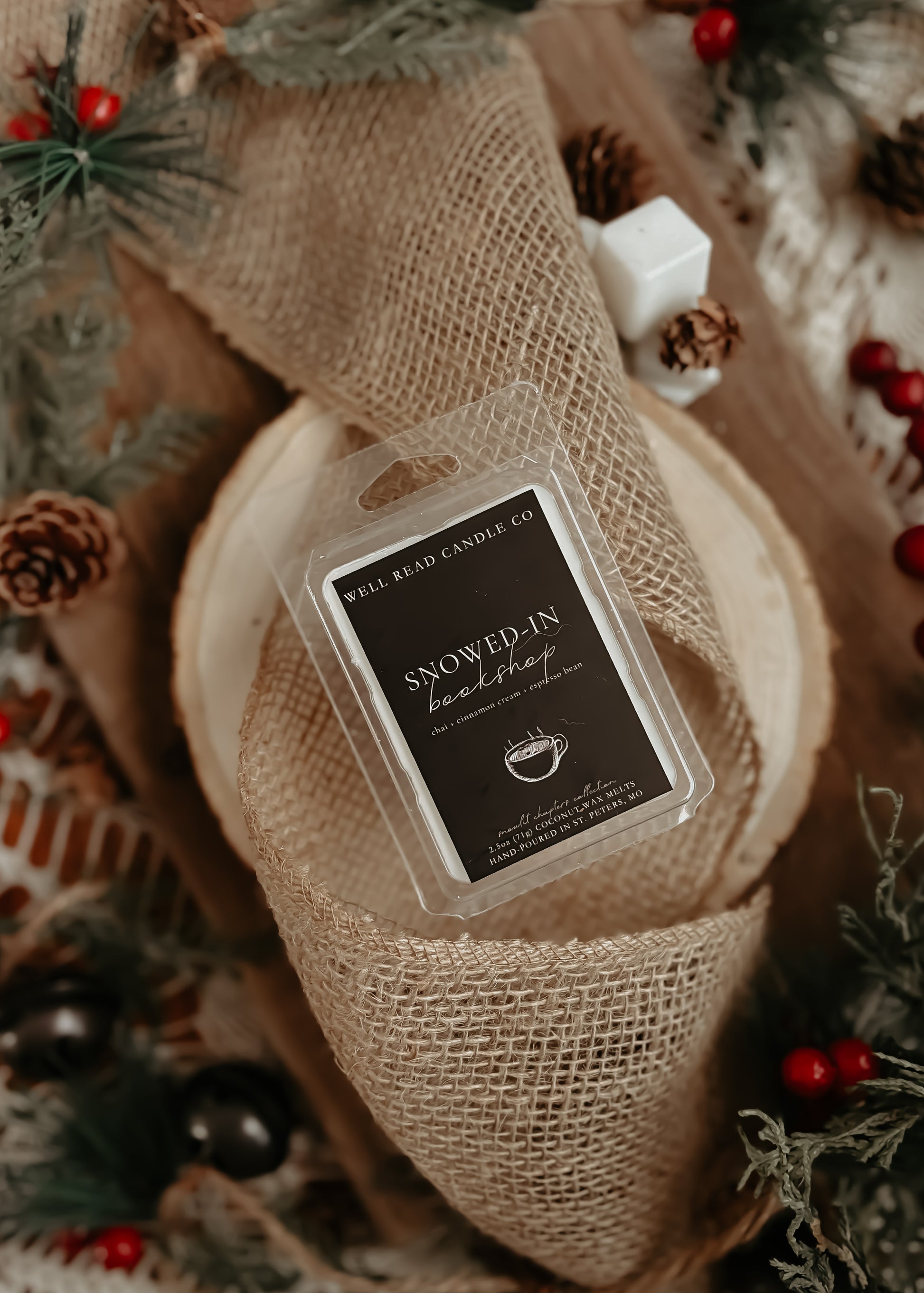 bookish gift wax melts book lover