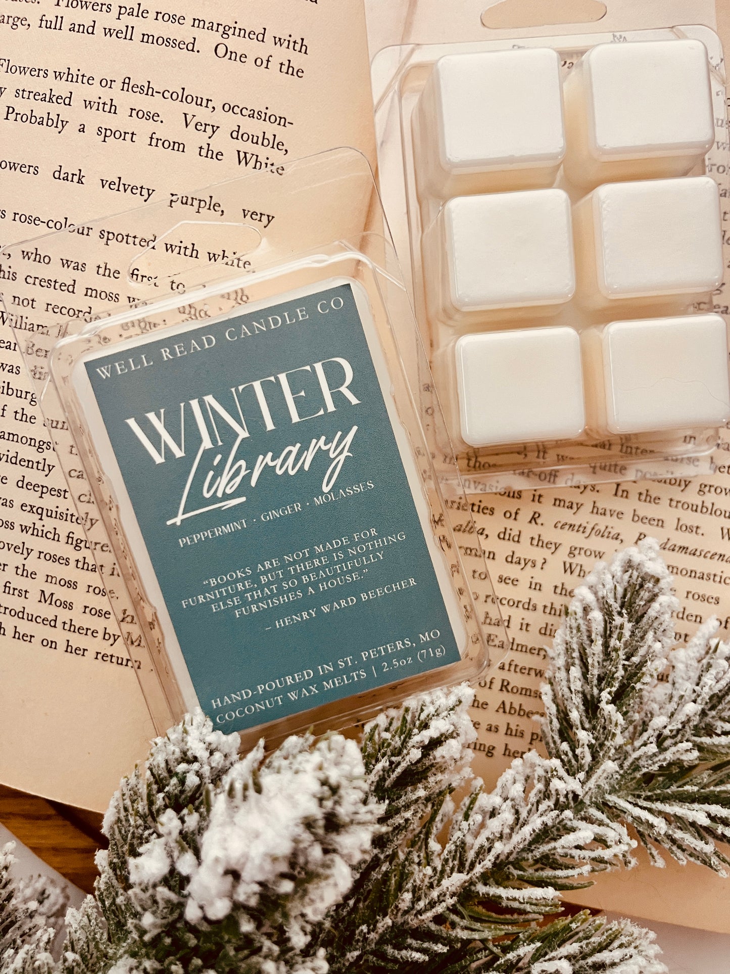 Winter Library Wax Melts